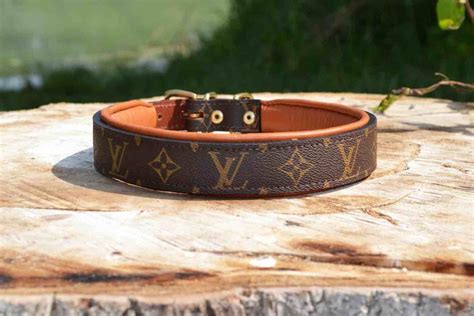 dogs louis vuitton|louis vuitton collar for dog.